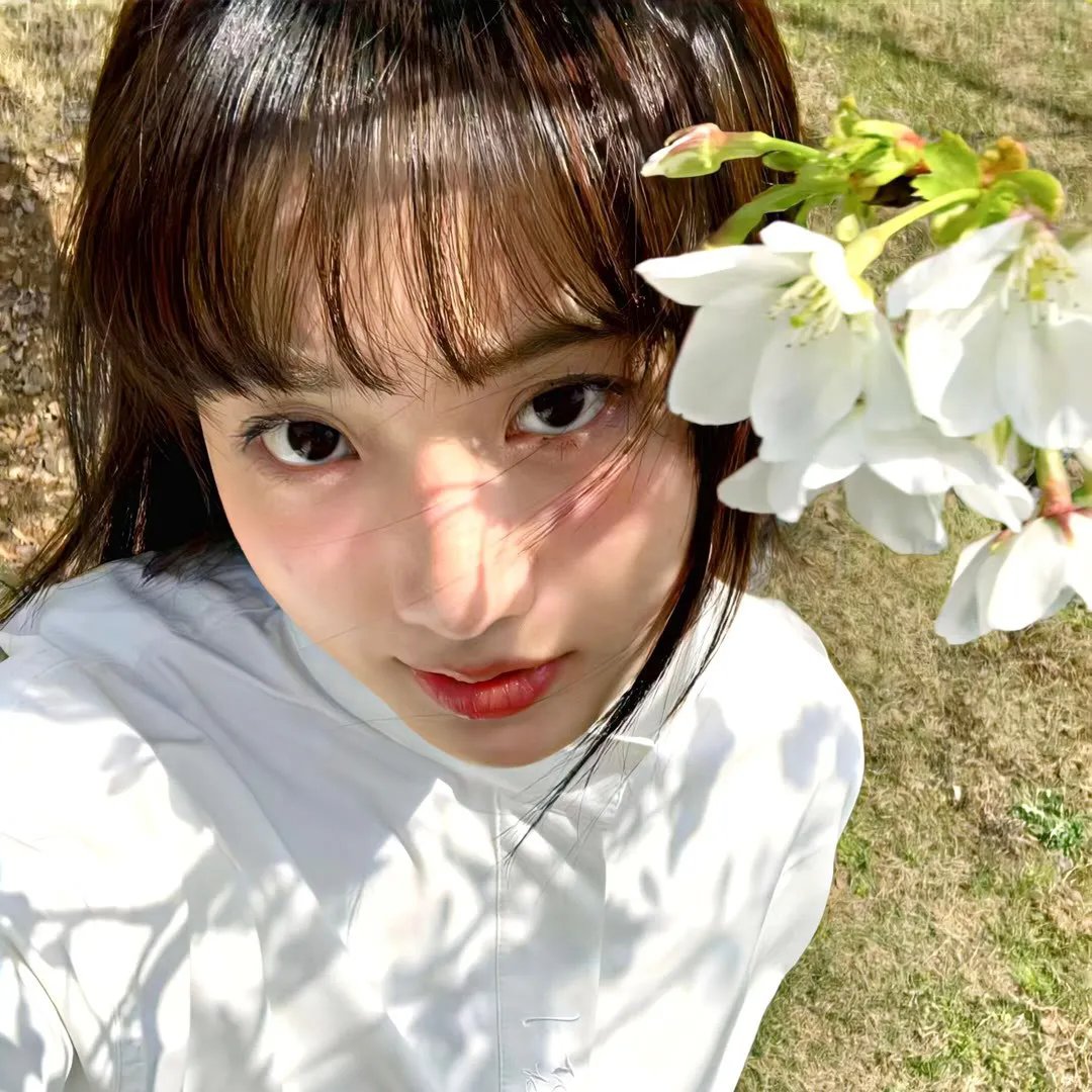 樱花旧事 海报